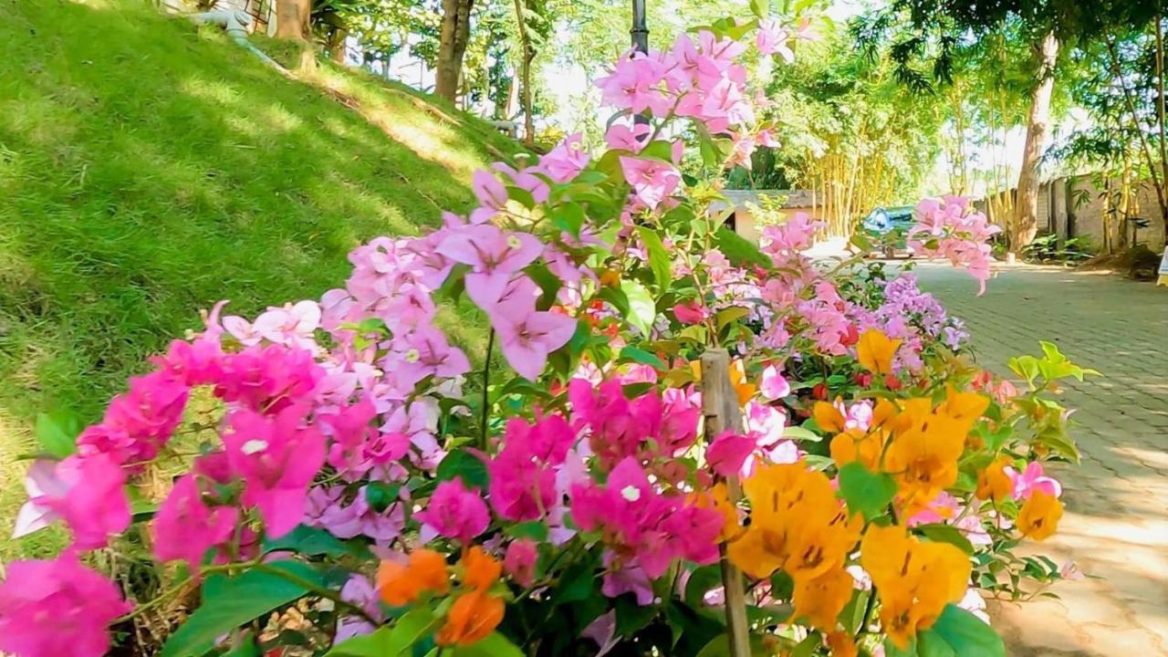 Kaharpara Bougainvillea Retreat & Spa מראה חיצוני תמונה