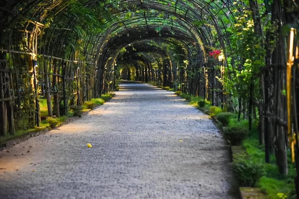Kaharpara Bougainvillea Retreat & Spa מראה חיצוני תמונה